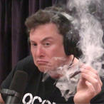GingeyTheGinger's Avatar'