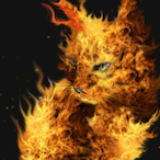 I_Shid_The_Cat's Avatar'