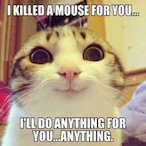 bobdunchamp's Avatar'