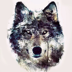 llllll50lllllI's Avatar'