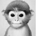 TheCapitalJ.'s Avatar'