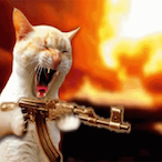 fhensh's Avatar'