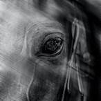 LongHateSong.'s Avatar'