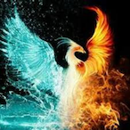 e.lfy's Avatar'