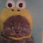 Loziman4ik's Avatar'