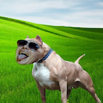 qMxstaV's Avatar'