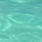 BipoIarfish's Avatar'