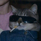 CHRISSULA's Avatar'
