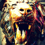 Rxzzy.ui's Avatar'