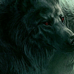 WexXPlayer's Avatar'