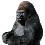 mEAThEAD..'s Avatar'