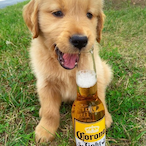 SheTookTheDog.'s Avatar'