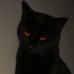 Sleepy_Hollow's Avatar'