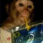 DJDINGLE69's Avatar'