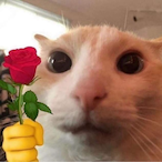 Jadyn75's Avatar'