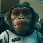 Samuel soprano's Avatar'