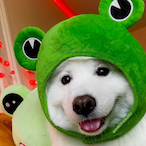 opgfan-_-'s Avatar'