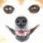 Road2CopperIV's Avatar