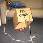 DGK_WildeHilde's Avatar