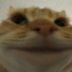 cronuspulls's Avatar'