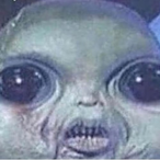 STONESALESMAN's Avatar'