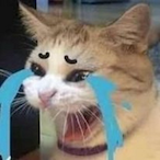thecdubbbbb's Avatar'
