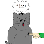 K_DDANGDDANGE's Avatar'