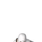 Chickendonkey2's Avatar'