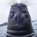 jaylinred2's Avatar'