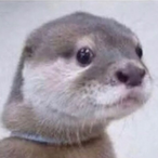 FinessemFrosty's Avatar'