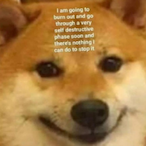 povertyc sab's Avatar'