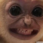 jaidonsplit's Avatar'