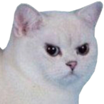 BigB0shi's Avatar'