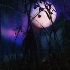 Swungbyzxsty's Avatar'