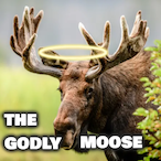 TheGodlyMoose's Avatar'