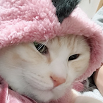 yuyui_mitarashi's Avatar'