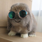 Juuberi_'s Avatar'