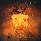 aeropigeon's Avatar'