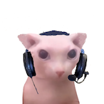 Bingus.r6's Avatar'