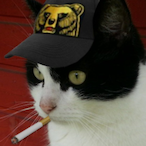 Kurkipotku.Raiq's Avatar'