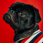 p0Lo.'s Avatar'