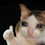 PIKASS_NapolJon's Avatar'