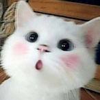 HiTonyxD's Avatar'