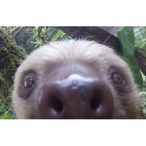 goon-on_rollrrrr's Avatar'