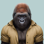 shotgunric's Avatar'