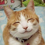 settupsite's Avatar'