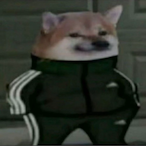 SpeedCat1's Avatar'