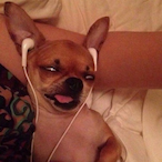 IIIIlIIlIIlIIl's Avatar'