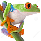 TrueDesqair's Avatar'