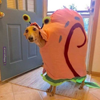 jordansocos's Avatar'